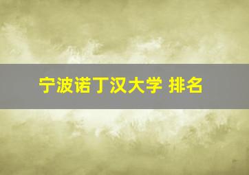 宁波诺丁汉大学 排名